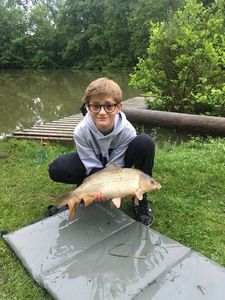 Common Carp