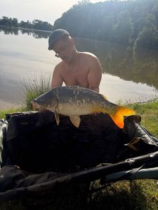 Mirror Carp