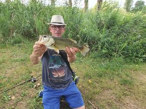 Smallmouth Bass
