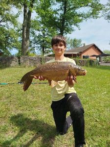 Mirror Carp