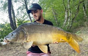Mirror Carp