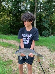 Common Carp