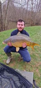 Common Carp