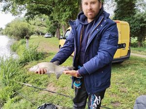 Common Bream