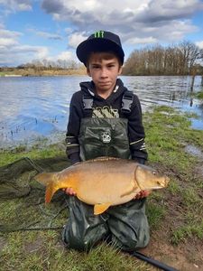 Mirror Carp