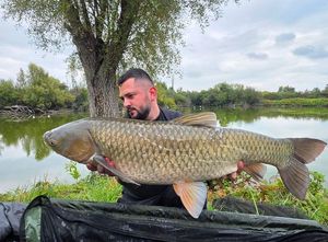 Grass Carp
