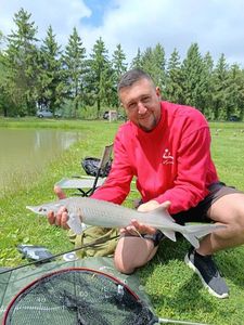 Sturgeon