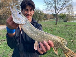 Northern Pike