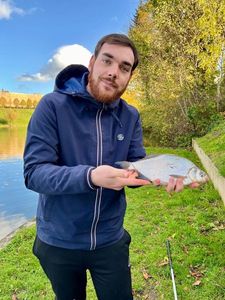 Common Bream