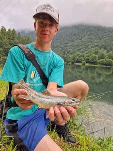 Brook Trout