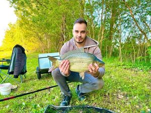 Common Carp