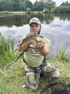 European Perch
