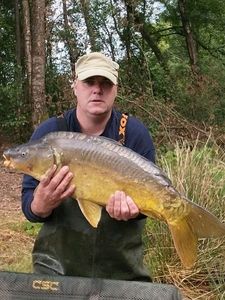 Mirror Carp