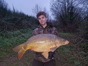 Mirror Carp