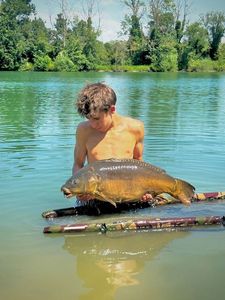 Mirror Carp