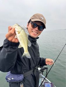 Largemouth Bass