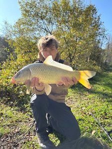 Koï Fish