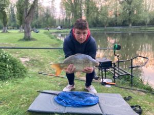 Common Carp