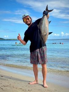 Greater Amberjack