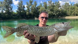 Northern Pike