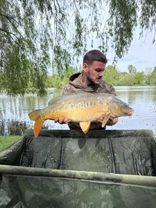 Mirror Carp