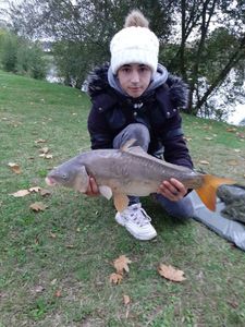 Mirror Carp