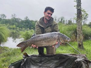 Mirror Carp