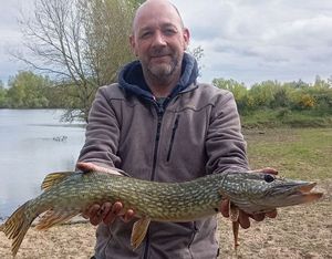 Northern Pike