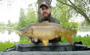 Common Carp