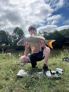 Common Carp