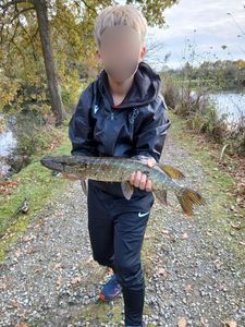 Northern Pike