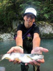 Brown Trout