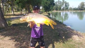 Mirror Carp