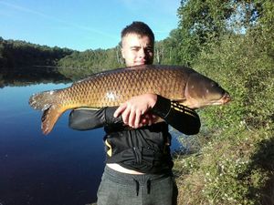 Common Carp