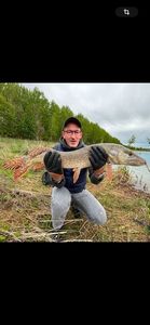 Northern Pike