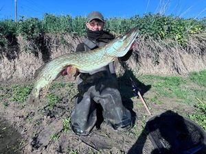 Northern Pike