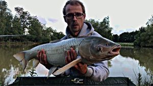 Grass Carp