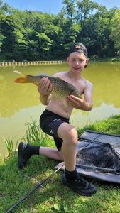 Common Carp