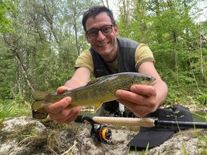 Brown Trout
