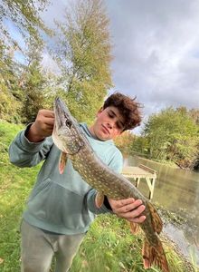 Northern Pike