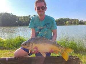Mirror Carp