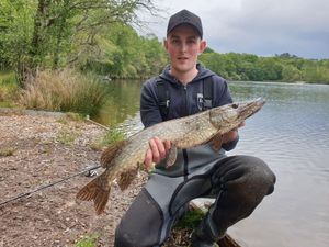Northern Pike