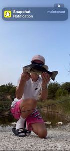 Largemouth Bass