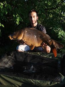 Leather Carp