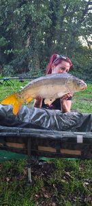 Mirror Carp