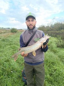 Northern Pike