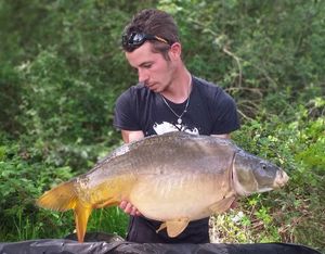 Mirror Carp