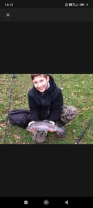 Rainbow Trout