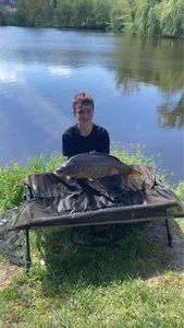 Common Carp