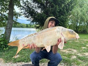 Mirror Carp
